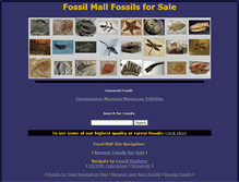 Tablet Screenshot of fossilmall.com